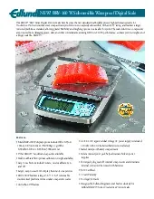 edlund-brv-160w-scale-portion-digital-specsheet-250520qvhviz.pdf