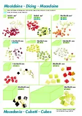 robot-coupe-27114-food-processor-disc-plate-dicing-specsheet-250520v4806b.pdf