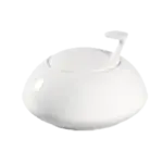 CAC China COL-HSP, China, Sugar Bowl