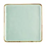 CAC China PMS-SQ16-G, Plate