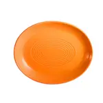 CAC China TG-13C-TNG, Platter