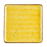 CAC China TUS-SQ16-SFL, Plate