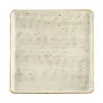 CAC China TUS-SQ21-BGE, Plate