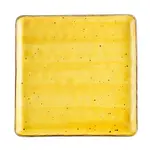 CAC China TUS-SQ21-SFL, Plate