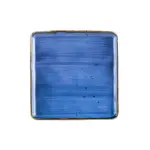 CAC China TUS-SQ6-BLU, Plate