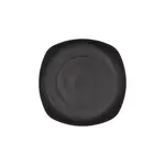 CAC China XCTN-Q21C, Plate