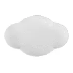 CAC China , XCTT-10-MW, Plate