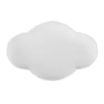 CAC China XCTT-12-MW, Plate