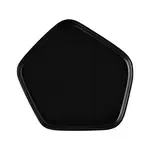 CAC China XPTN-8-K, Plate