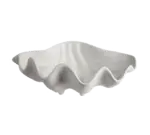 GET Enterprises SC002TG, Shell Bowl, Resin, 10.1 Oz.