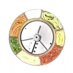 Robot Coupe 27610, Food Processor, Disc Plate, Slicing