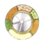 Robot Coupe 27621, Food Processor, Disc Plate, Slicing