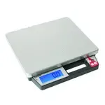 Taylor Precision , TE50, Scale, Portion, Digital