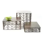 Urban Renewal IRFLW-3000, Display Riser, Set, Iron, Brown, Rectangular