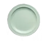 Yanco NS-107G, Plate, Plastic